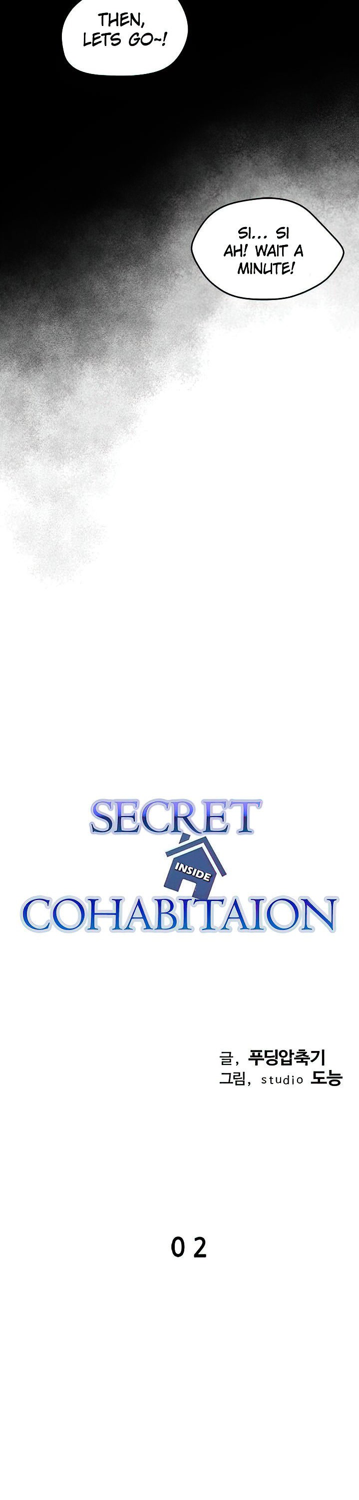 Secret Cohabitation Chapter 2 - Page 21